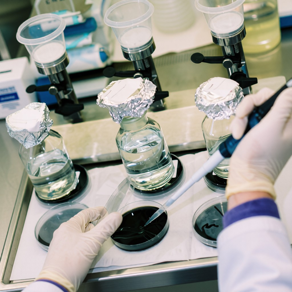 Research chemicals legal framework Europe USA guide
